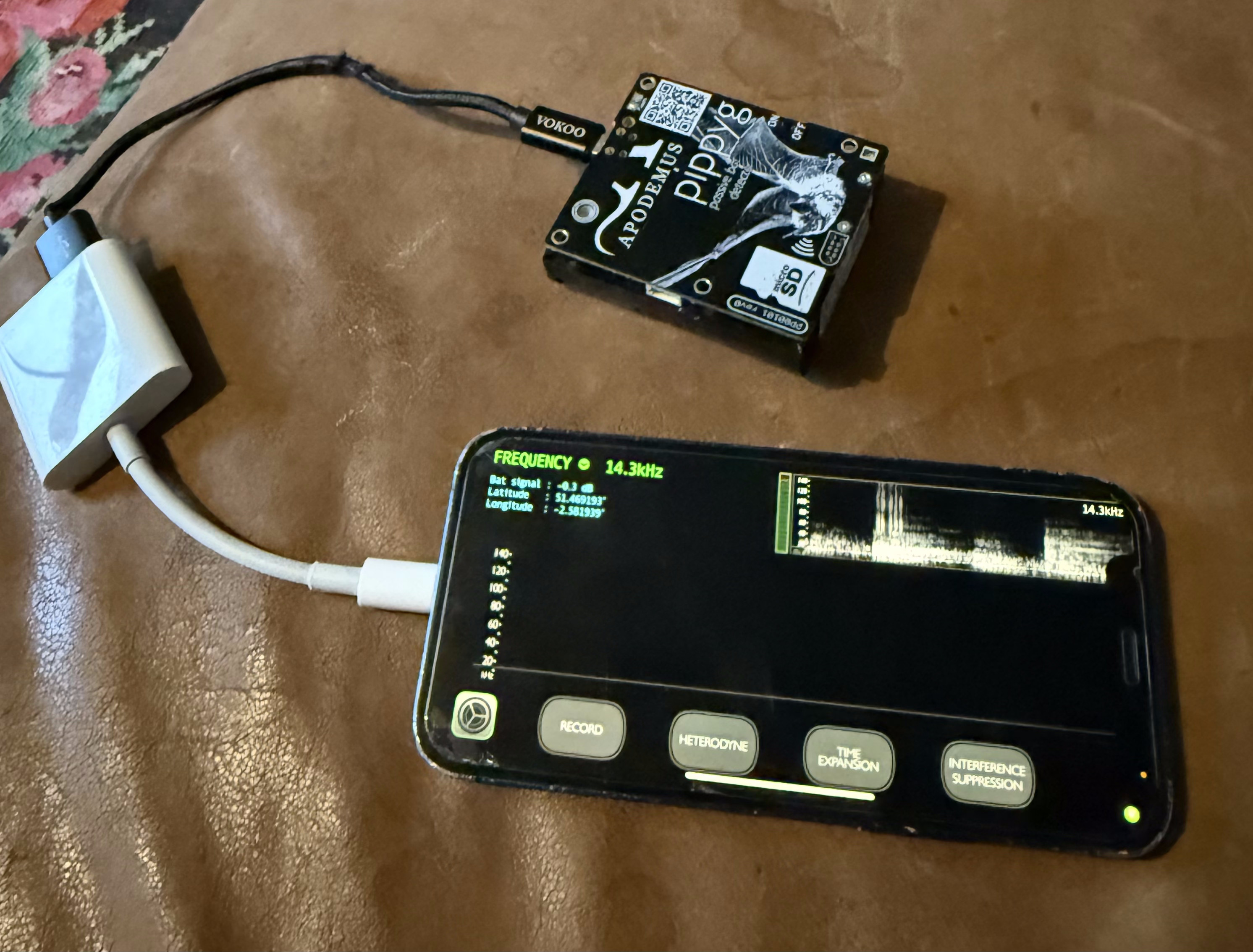 iphone connected to a pippyg bat mic sitting on a scruffy looking leather sofa. The iphone has an app for detecting bats on it
